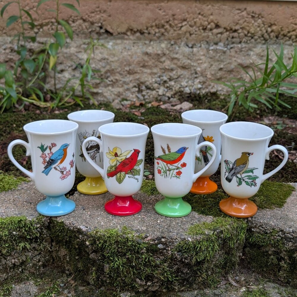 Vintage 60s 70s Irish Coffee Mug Set of 6 Made in Japan Bird Hot Toddy Glass Set